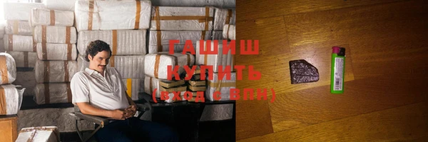 молекула духа Каменногорск