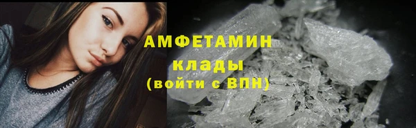 молекула духа Кущёвская