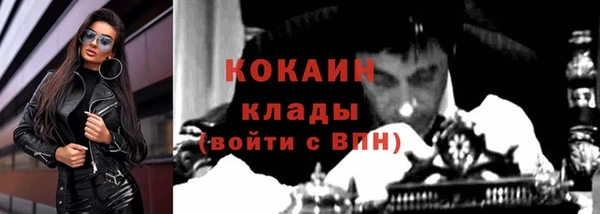 молекула духа Каменногорск