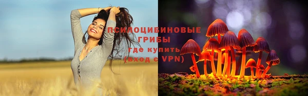 молекула духа Каменногорск