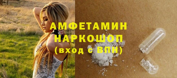 молекула духа Каменногорск