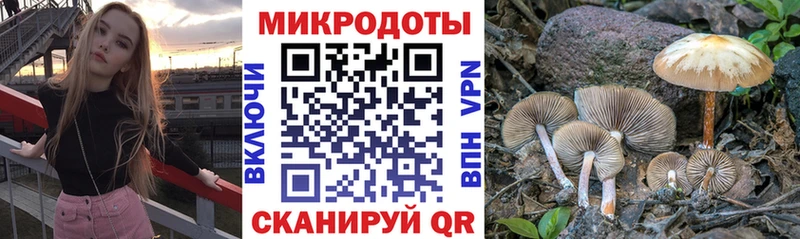 где купить наркотик  Мариинск  Галлюциногенные грибы Magic Shrooms 
